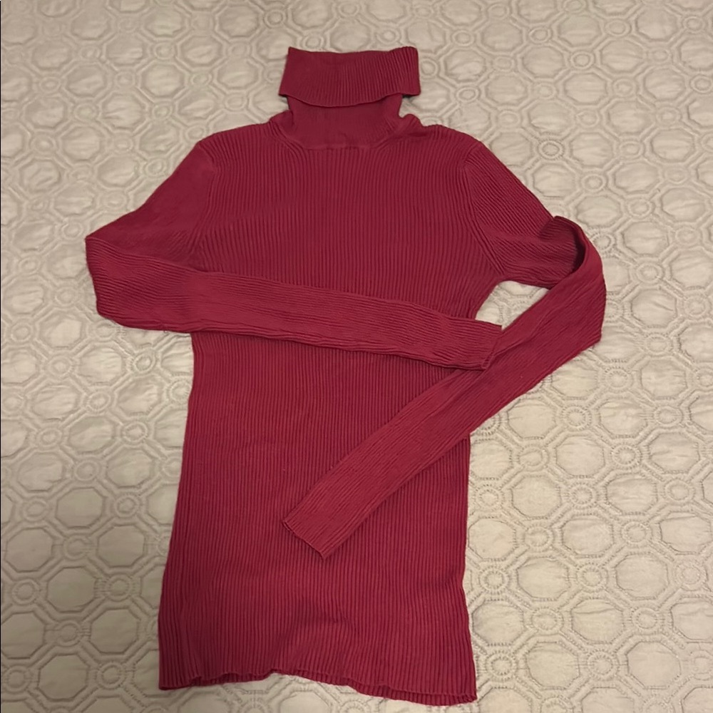 Express Magenta Turtleneck